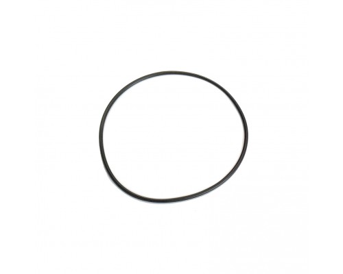 Кольцо уплотнительное коленвала 3926048